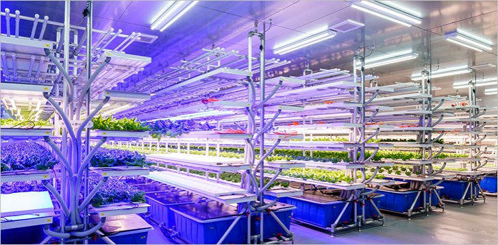 Plant Factory System