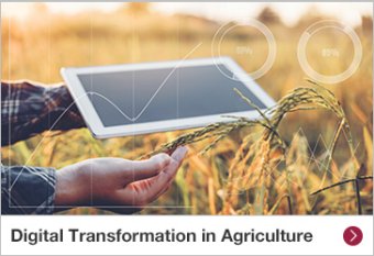 Digital Transformation in Agriculture